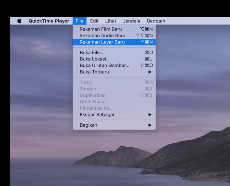 use quicktime for mac